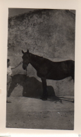 AB304