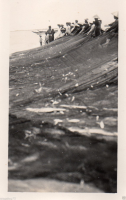 AB417