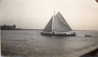 AB431