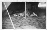 AB890