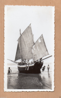 AC495