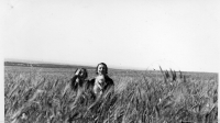 AC806