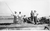 AC976