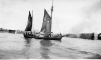 AD488