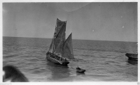 AD870