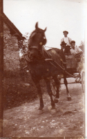 AE104