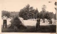 AE105