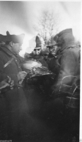 AE193