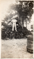 AE196
