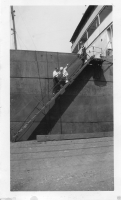 AE202