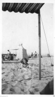 AE239