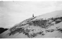 AE282