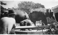 AE308