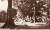 AE365