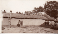 AE366