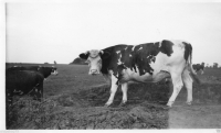 AE541