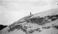 AE545