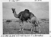 AF048