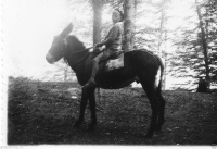 AF246