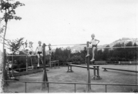 AF255