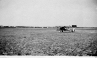 AF313