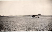 AF323