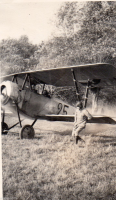 AF334