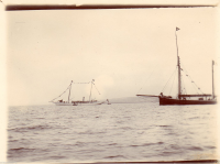 AF371