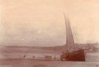 AG064