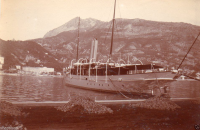 AG113