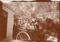 AG134