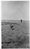 AG147