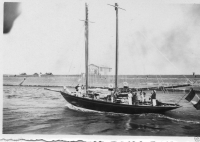 AG307