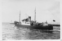 AG317