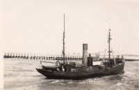 AG319