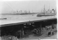 AG339