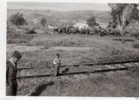 AG393