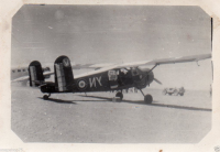 AG398