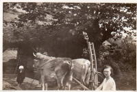 AG449
