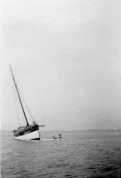 AG494