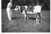 AG670