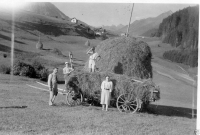 AG703