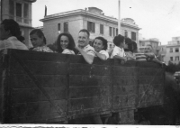 AG815