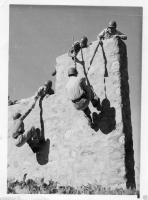 AG894