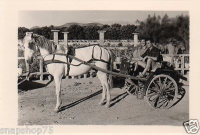AG945