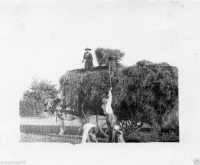 AH347