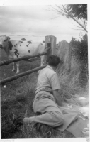 AH485