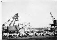 AH518