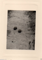 AI174