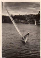 AI194